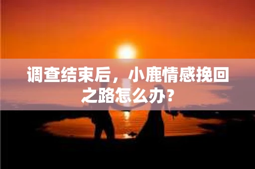 调查结束后，小鹿情感挽回之路怎么办？