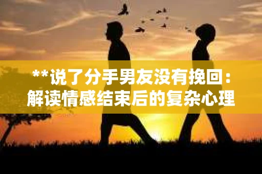 **说了分手男友没有挽回：解读情感结束后的复杂心理与现实**