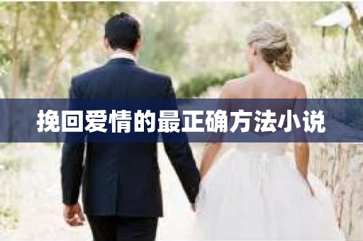 挽回爱情的最正确方法小说