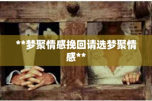 **梦聚情感挽回请选梦聚情感**