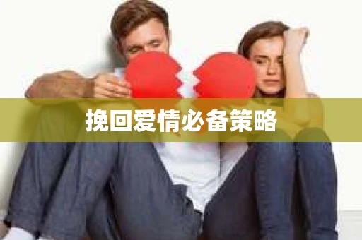挽回爱情必备策略