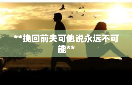 **挽回前夫可他说永远不可能**