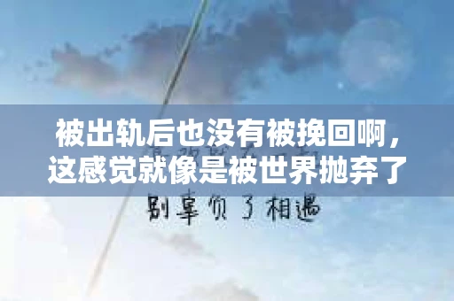 被出轨后也没有被挽回啊，这感觉就像是被世界抛弃了一样。我曾经也经历过这样的事情，那种心如刀割的痛，至今仍记忆犹新。今天，我想和大家聊聊这个话题，希望能给那些正在经历或者曾经经历过类似痛苦的人一些安慰和帮助。