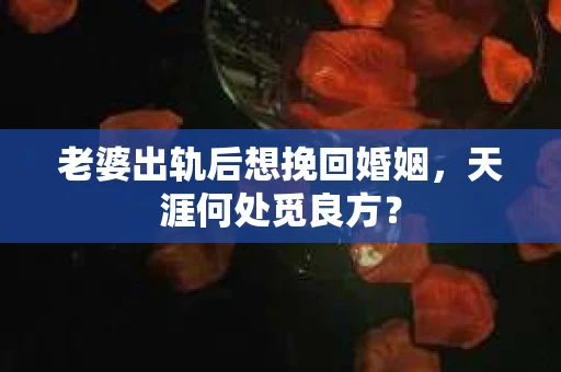老婆出轨后想挽回婚姻，天涯何处觅良方？