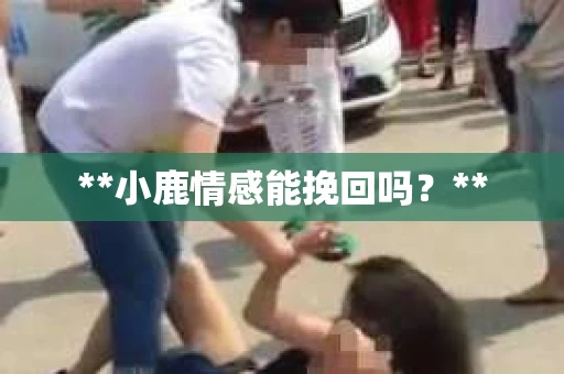 **小鹿情感能挽回吗？**