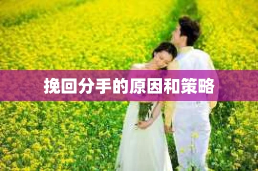 挽回分手的原因和策略
