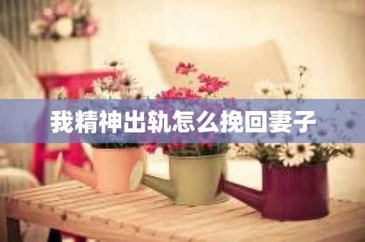 我精神出轨怎么挽回妻子