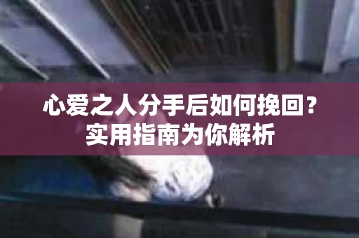 心爱之人分手后如何挽回？实用指南为你解析