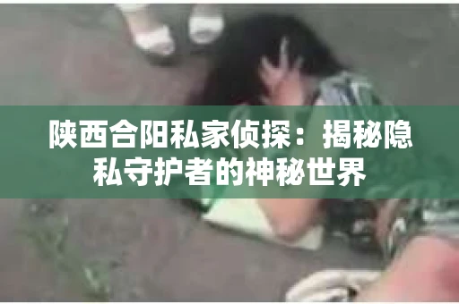 陕西合阳私家侦探：揭秘隐私守护者的神秘世界