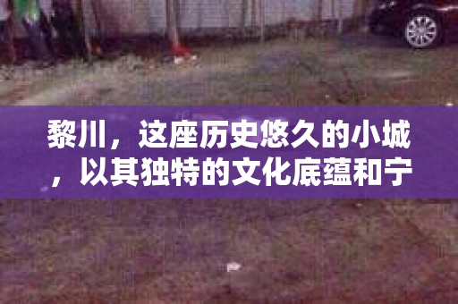 黎川，这座历史悠久的小城，以其独特的文化底蕴和宁静的生活节奏吸引着无数游客。然而，在这样一个看似平静的城市里，你是否会好奇，有没有私家侦探机构的存在呢？今天，就让我带你一探究竟。