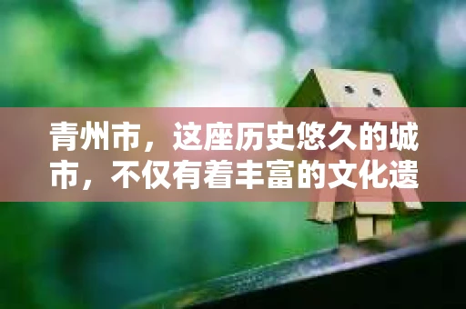 青州市，这座历史悠久的城市，不仅有着丰富的文化遗产，也有着现代生活的便捷。那么，问题来了——青州市有私家侦探公司吗？这个问题，对于需要侦探服务的人来说，无疑至关重要。接下来，我就来为大家揭开这个谜底。