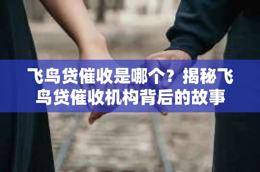 飞鸟贷催收是哪个？揭秘飞鸟贷催收机构背后的故事