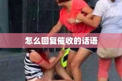 怎么回复催收的话语