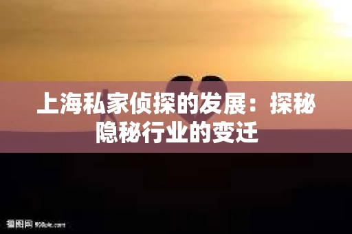 上海私家侦探的发展：探秘隐秘行业的变迁