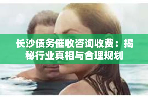 长沙债务催收咨询收费：揭秘行业真相与合理规划