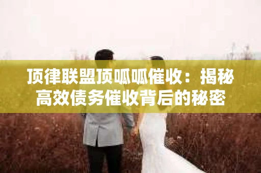顶律联盟顶呱呱催收：揭秘高效债务催收背后的秘密
