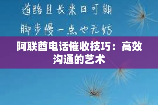 阿联酋电话催收技巧：高效沟通的艺术