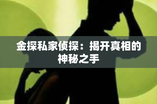 金探私家侦探：揭开真相的神秘之手
