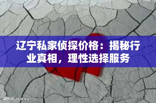 辽宁私家侦探价格：揭秘行业真相，理性选择服务