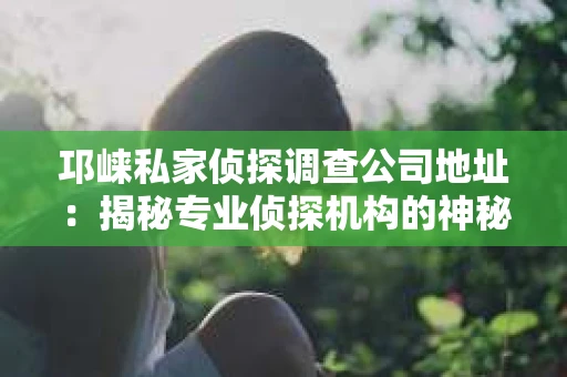 邛崃私家侦探调查公司地址：揭秘专业侦探机构的神秘面纱