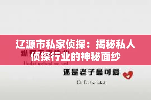 辽源市私家侦探：揭秘私人侦探行业的神秘面纱