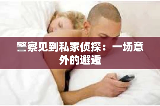 警察见到私家侦探：一场意外的邂逅