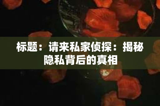 标题:请来私家侦探:揭秘隐私背后的真相 标题:请来私家侦探:揭秘隐私背后的真相