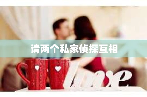 请两个私家侦探互相