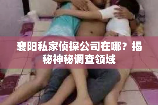 襄阳私家侦探公司在哪？揭秘神秘调查领域