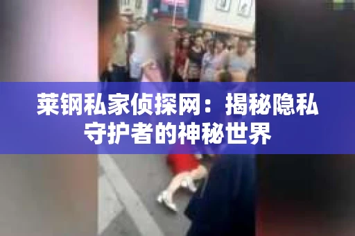 莱钢私家侦探网:揭秘隐私守护者的神秘世界 莱钢私家侦探网:揭秘隐私守护者的神秘世界