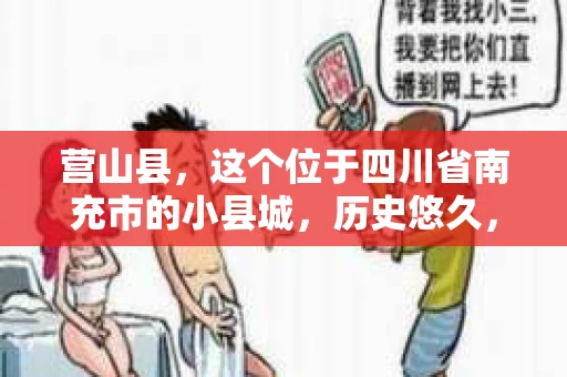 营山县，这个位于四川省南充市的小县城，历史悠久，风景秀丽。但在这个宁静的小县城里，你是否会好奇，有没有私家侦探的存在呢？今天，我就来和大家聊聊这个话题。