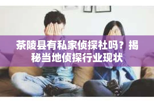 茶陵县有私家侦探社吗？揭秘当地侦探行业现状