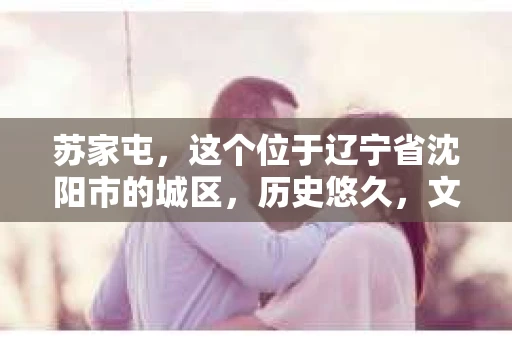 苏家屯，这个位于辽宁省沈阳市的城区，历史悠久，文化底蕴深厚。近年来，随着社会的发展，人们对于私家侦探的需求也逐渐增加。那么，苏家屯有私家侦探吗？今天，我们就来聊聊这个话题。