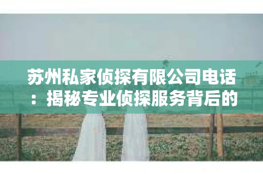 苏州私家侦探有限公司电话：揭秘专业侦探服务背后的故事