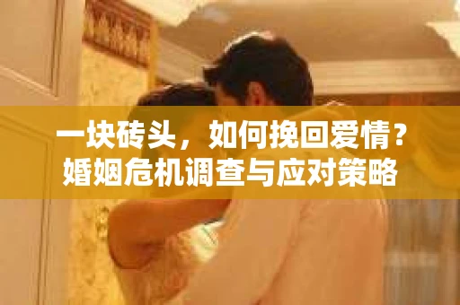 一块砖头，如何挽回爱情？婚姻危机调查与应对策略