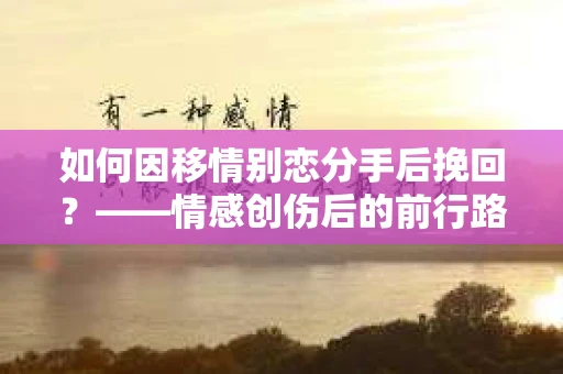 如何因移情别恋分手后挽回？——情感创伤后的前行路线图