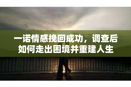 一诺情感挽回成功，调查后如何走出困境并重建人生